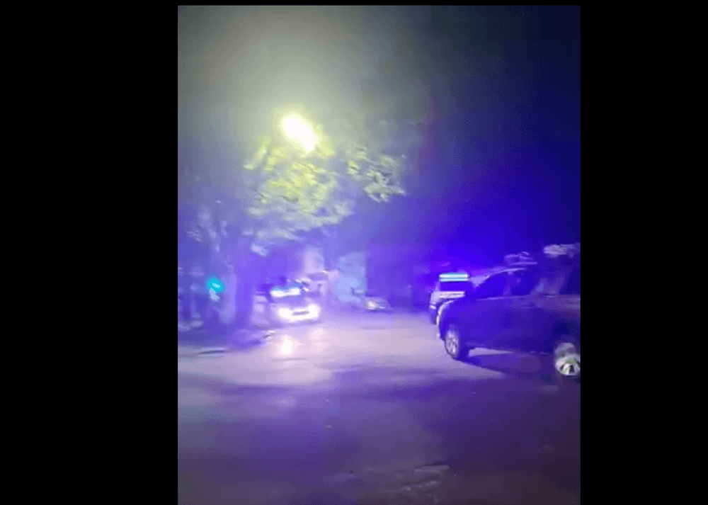 Picture of the author