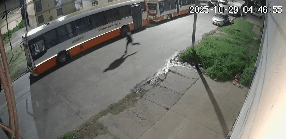 Picture of the author