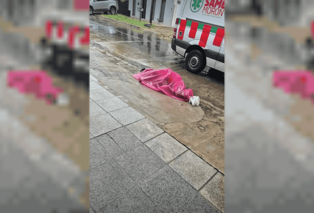 Picture of the author