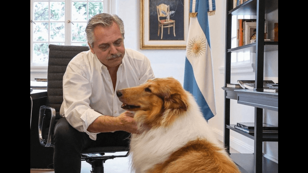 Murió Dylan, el perro de Alberto Fernández
