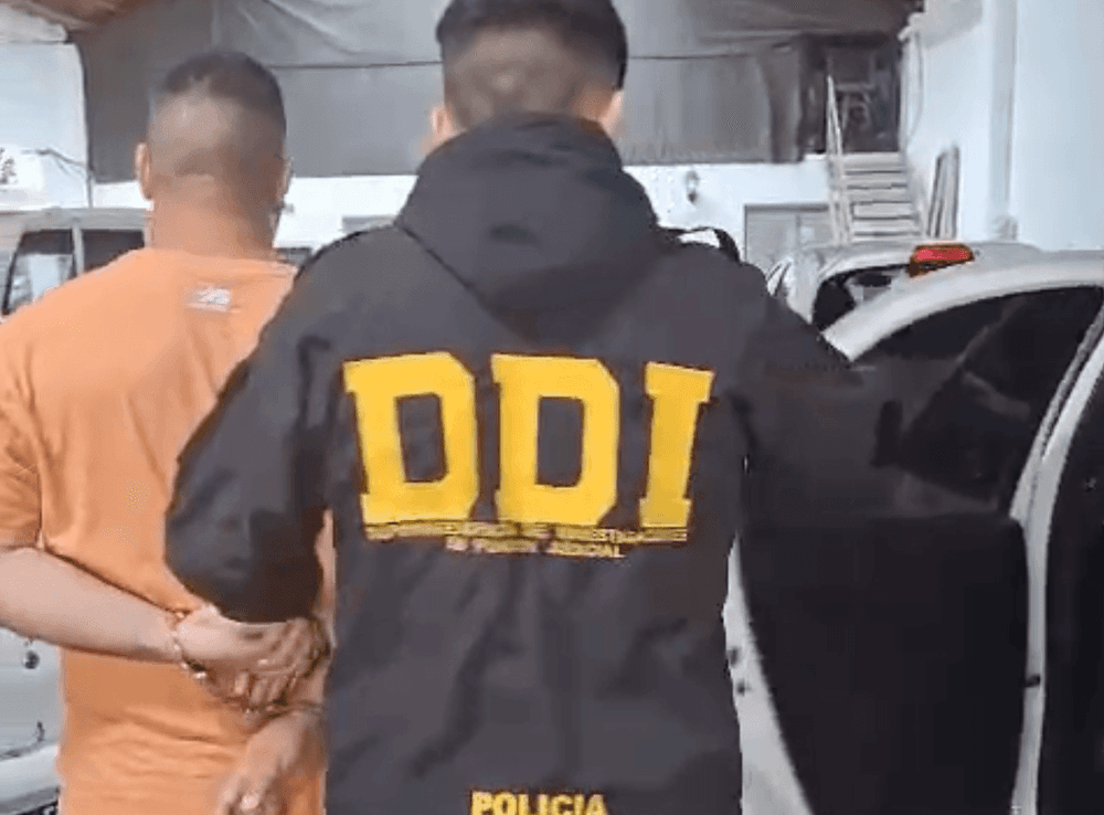 Picture of the author