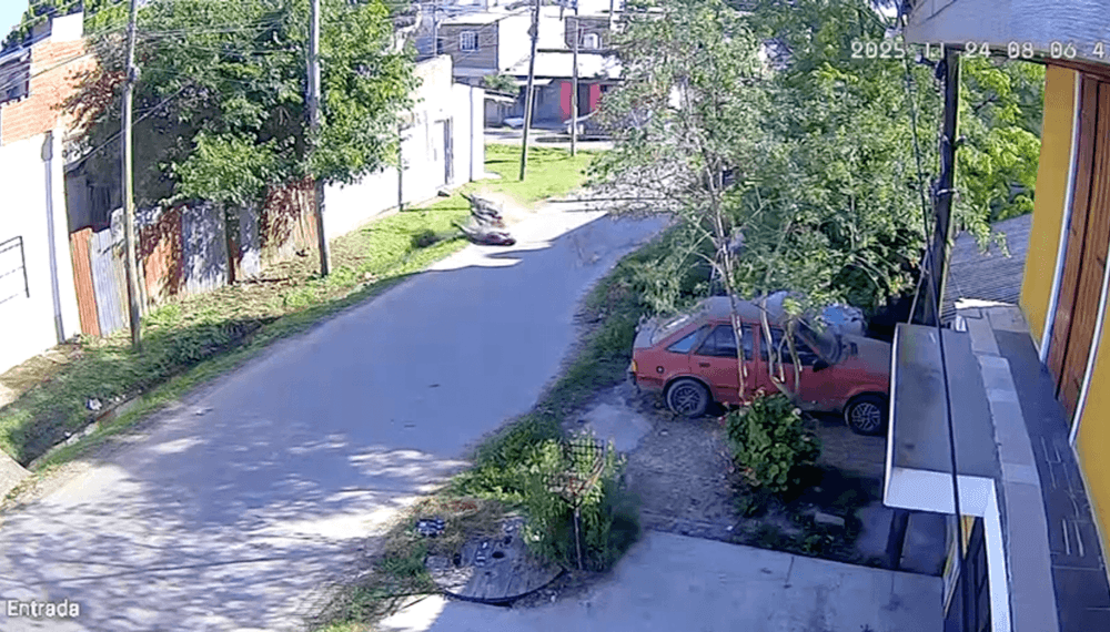 Picture of the author