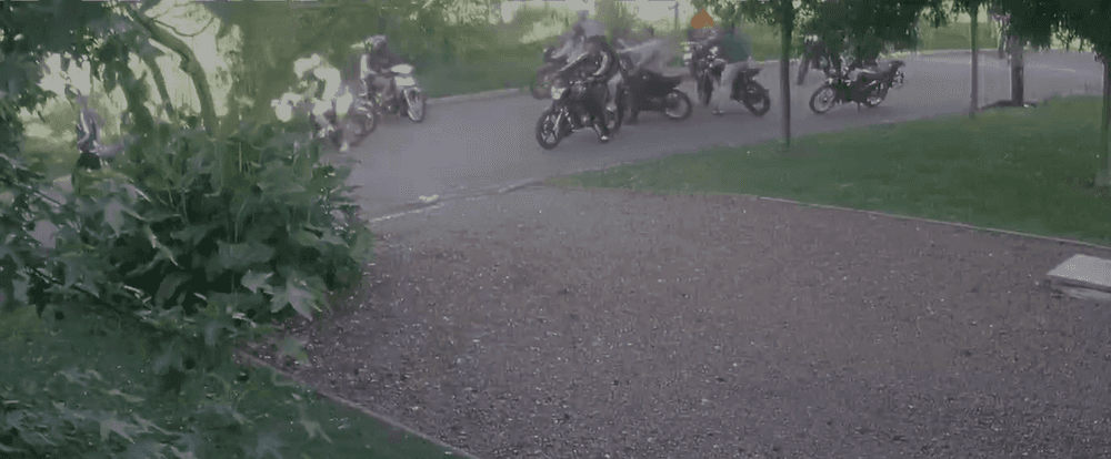 Picture of the author