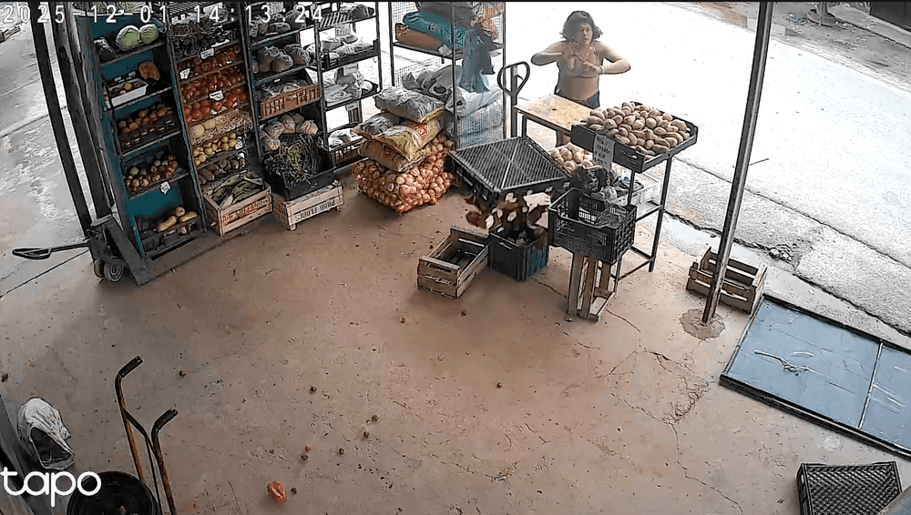 Una mujer atacó un comercio en La Plata y terminó demorada