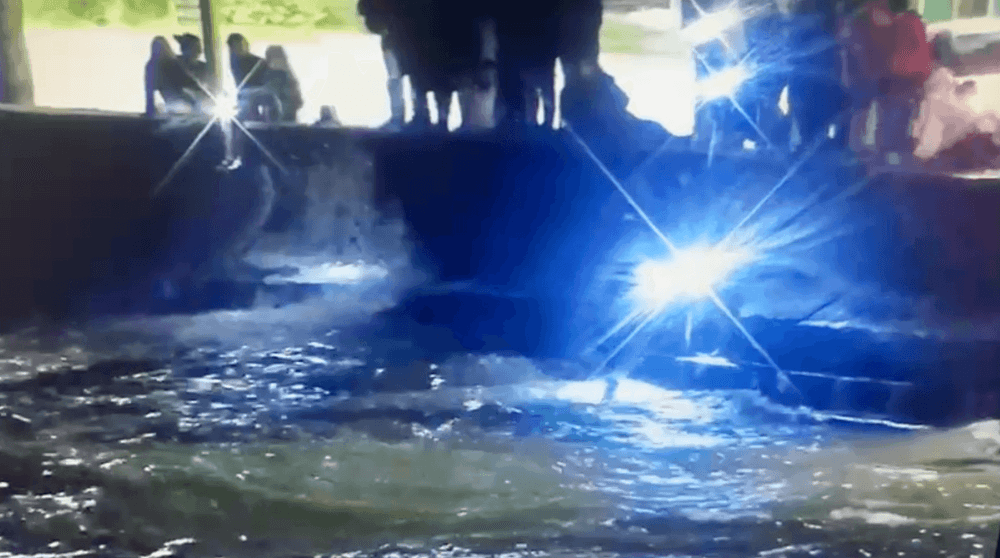 Punta Lara: Un hombre se arrojo al Río de La Plata y falleció de madrugada