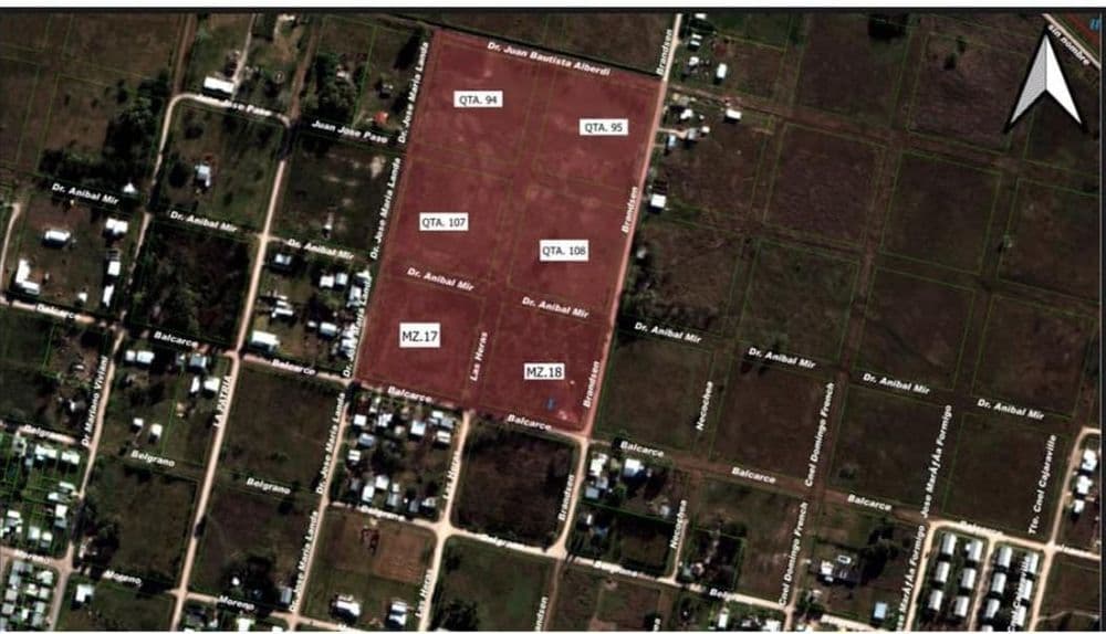 Picture of the author