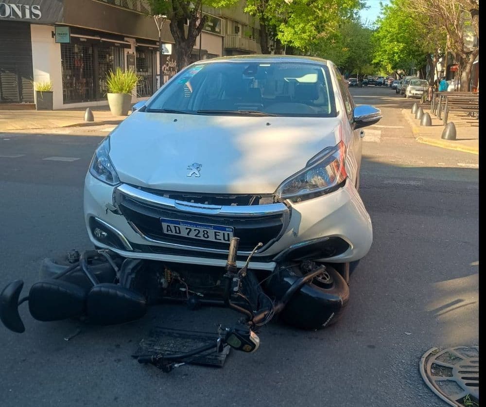 Picture of the author