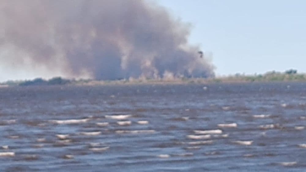 Picture of the author