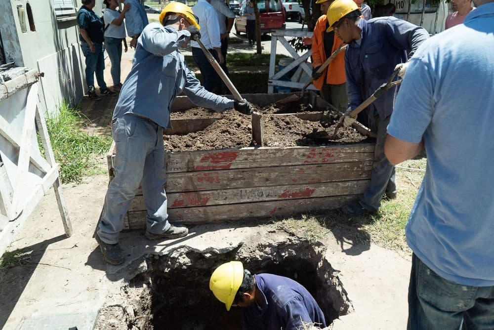 Picture of the author