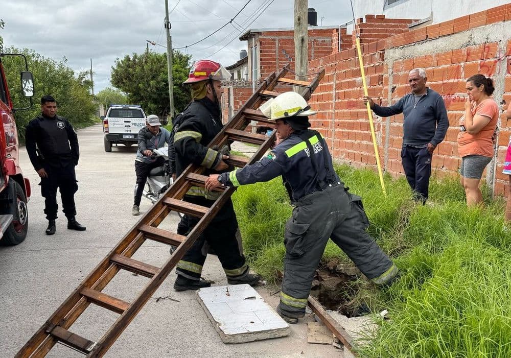 Picture of the author