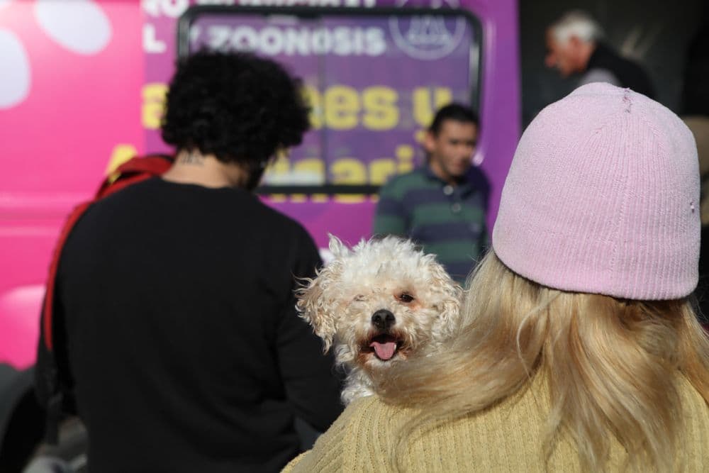 Picture of the author