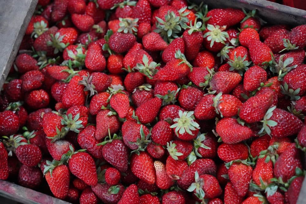 El Mercado Bonaerense Fijo La Plata actualizó ofertas en lácteos, carnes, frutas y más