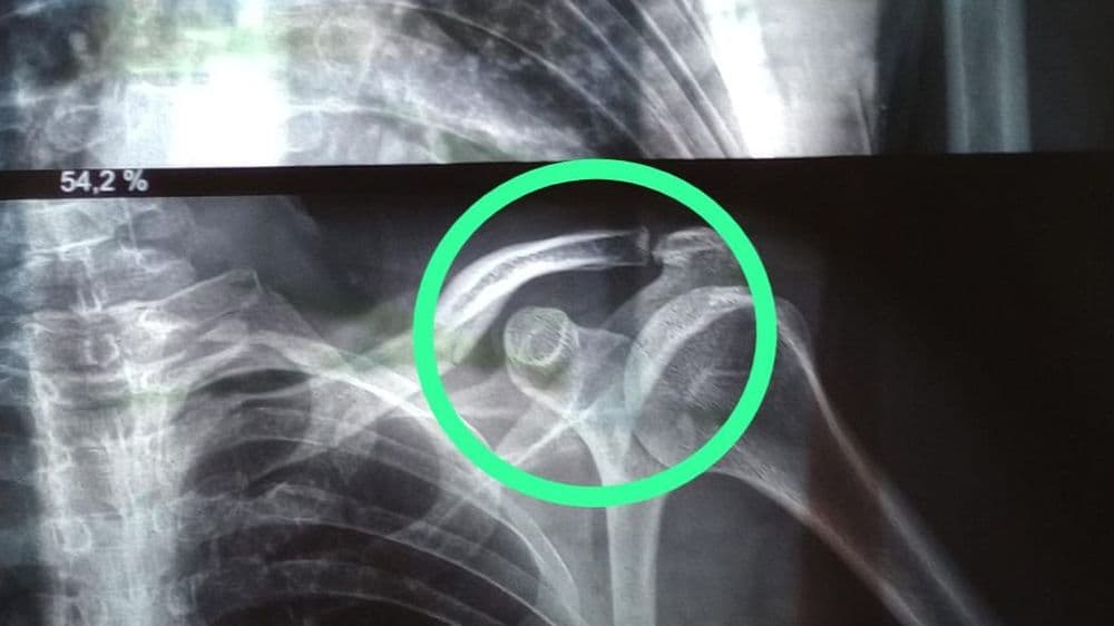 Picture of the author