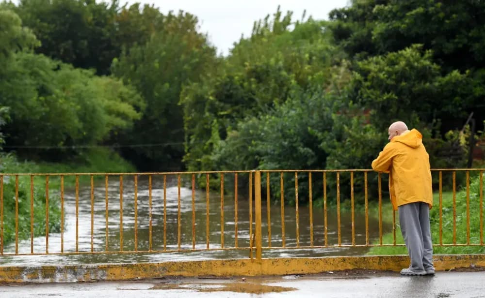 Picture of the author