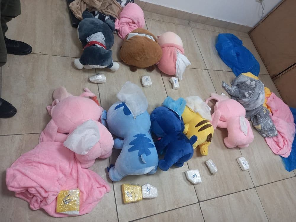 Operativo narcopeluches: Gendarmes descubrieron cocaína en el interior de tiernos ositos