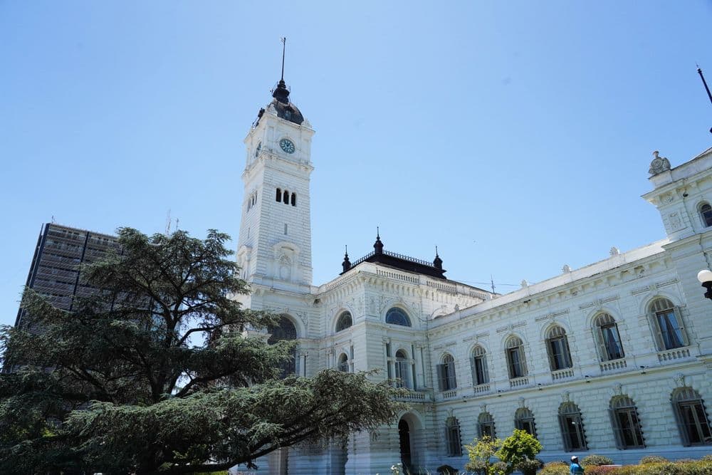 Picture of the author